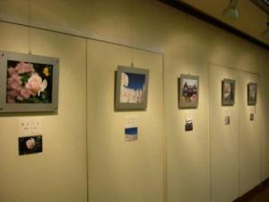 ブログ用デジカメ展11