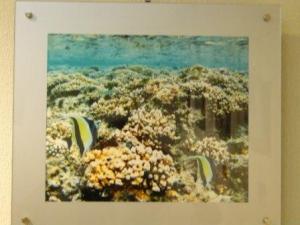 ブログ用デジカメ展7