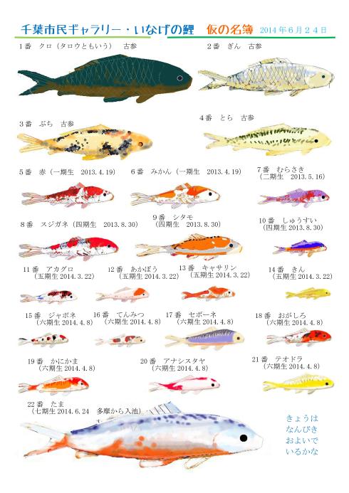 当館館長が描いた鯉のイラスト